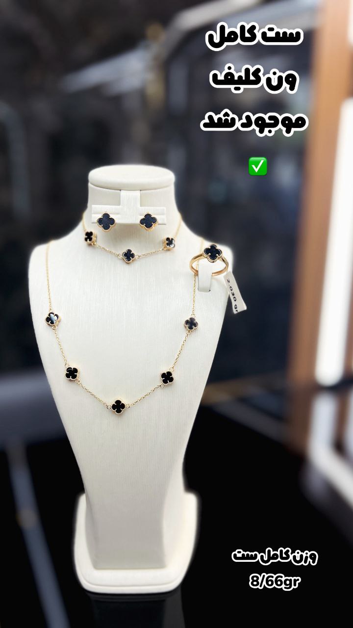 photo_2025-12-31_00-38-23 سرویس کامل ون کلیف - تصویر 1